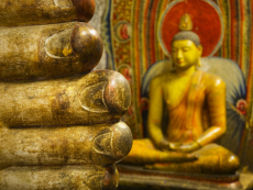 Detail of Toes Belonging to a Reclining Buddha
