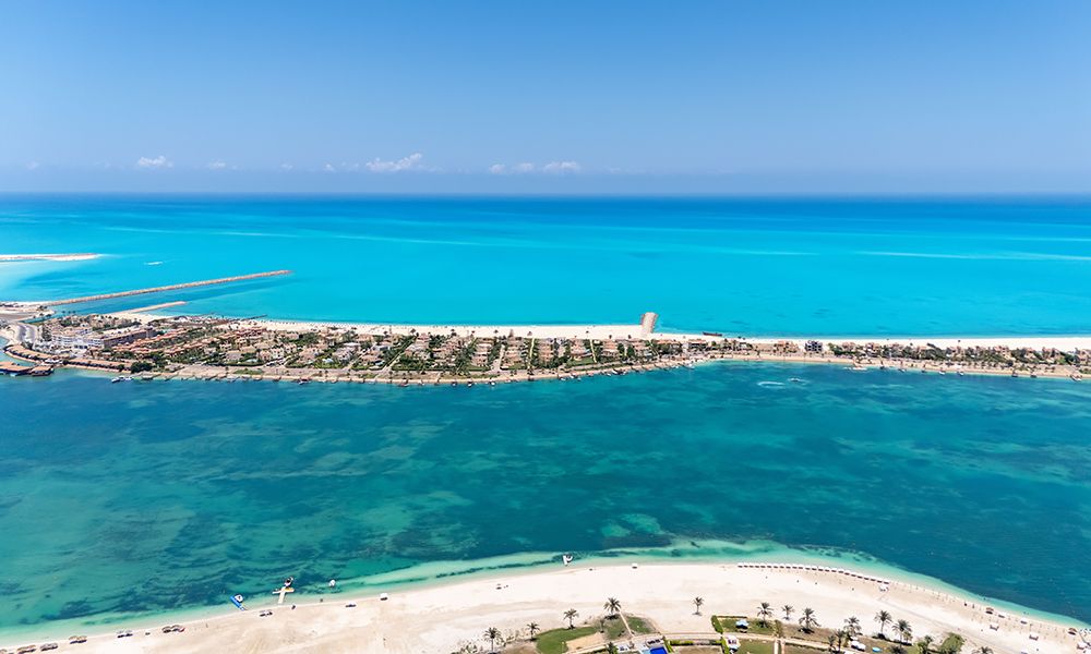 Ель-Аламейн із Кишинева