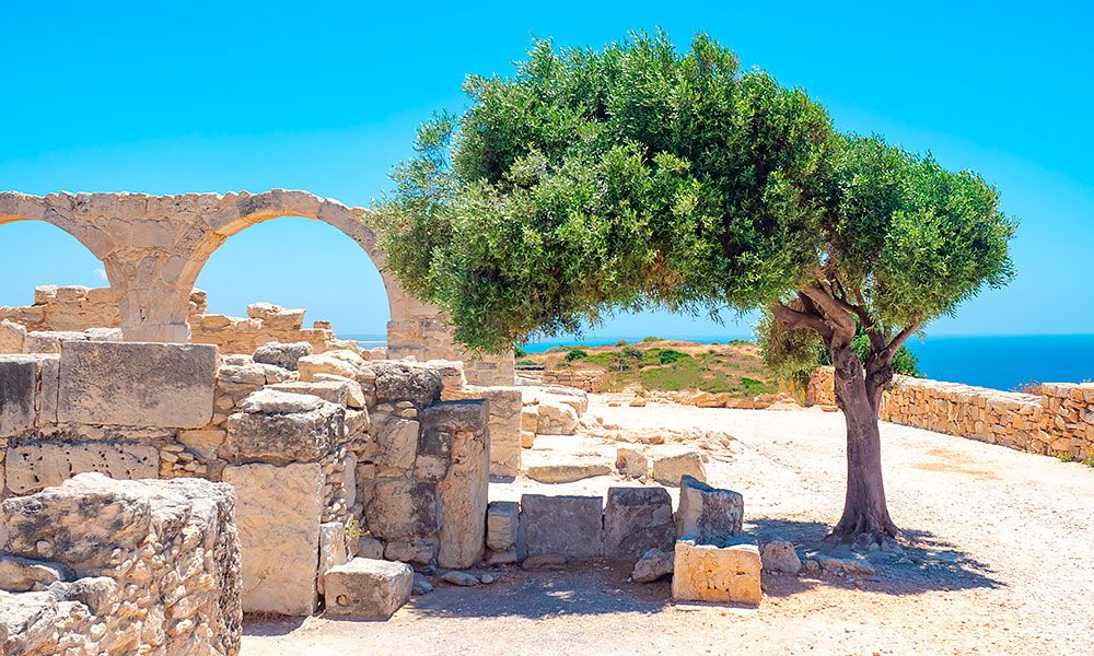 Ларнака із Сучави