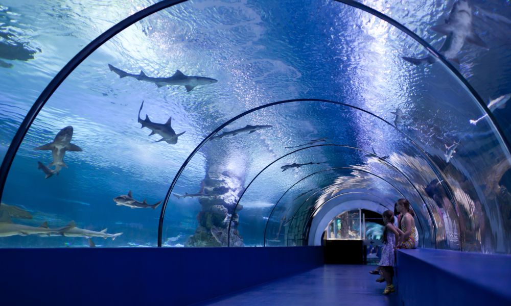 Antalya Aquarium.jpg
