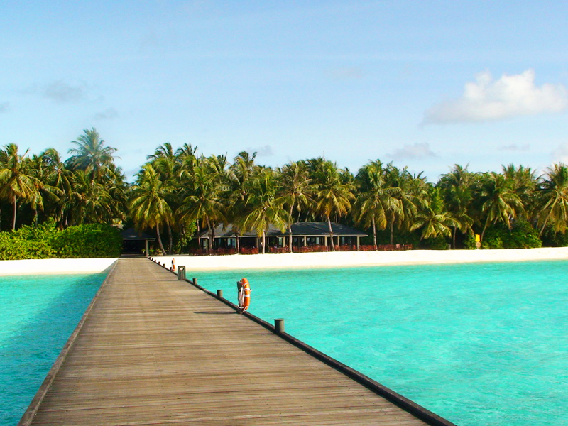 Island resort spa мальдивы. Сан Исланд Мальдивы. Sun Island Resort & Spa 4* (Ари Атолл). Остров Sun Island на Мальдивах. Мальдивы Sun Island Resort Spa 5 Мальдивы.