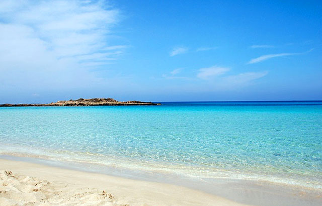 Hopetaft: Plyazh Fig Tree Bay