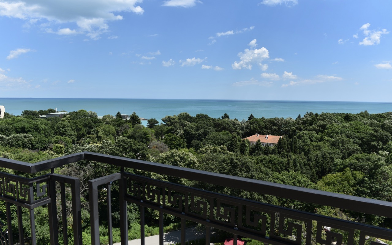 big_view_1 (1)
