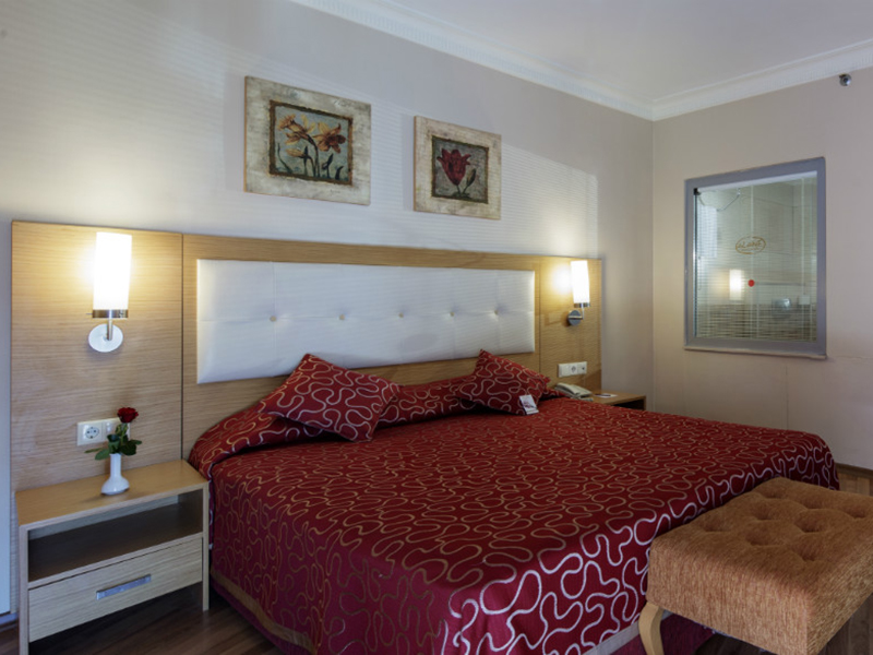 Standard Room-5