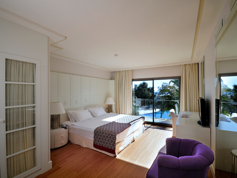 palm suite2