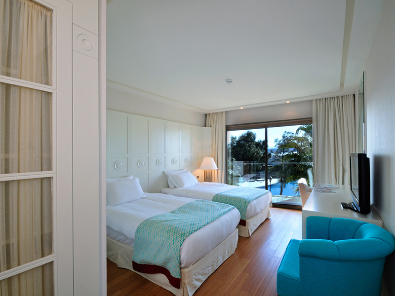 palm suite5
