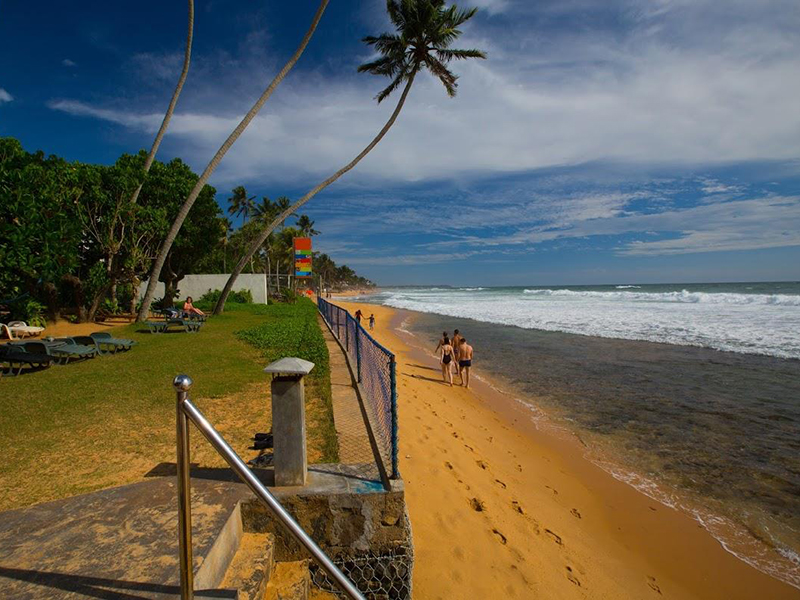 Lanka Super Corals (2)