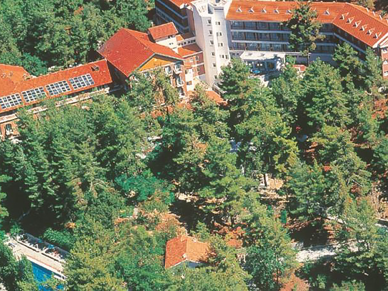 Forest park resort заброшенный отель