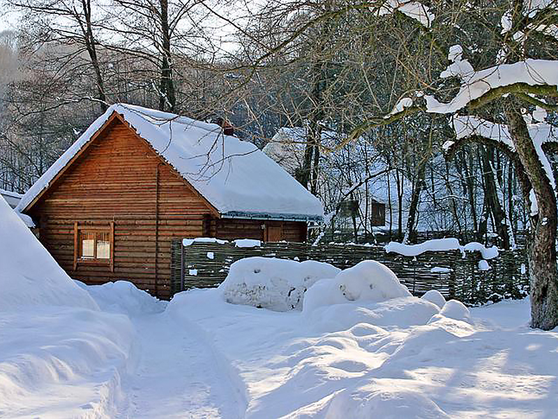 Карпатия фото на дне