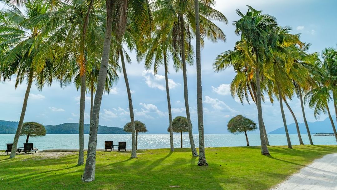 Island view - family room 1