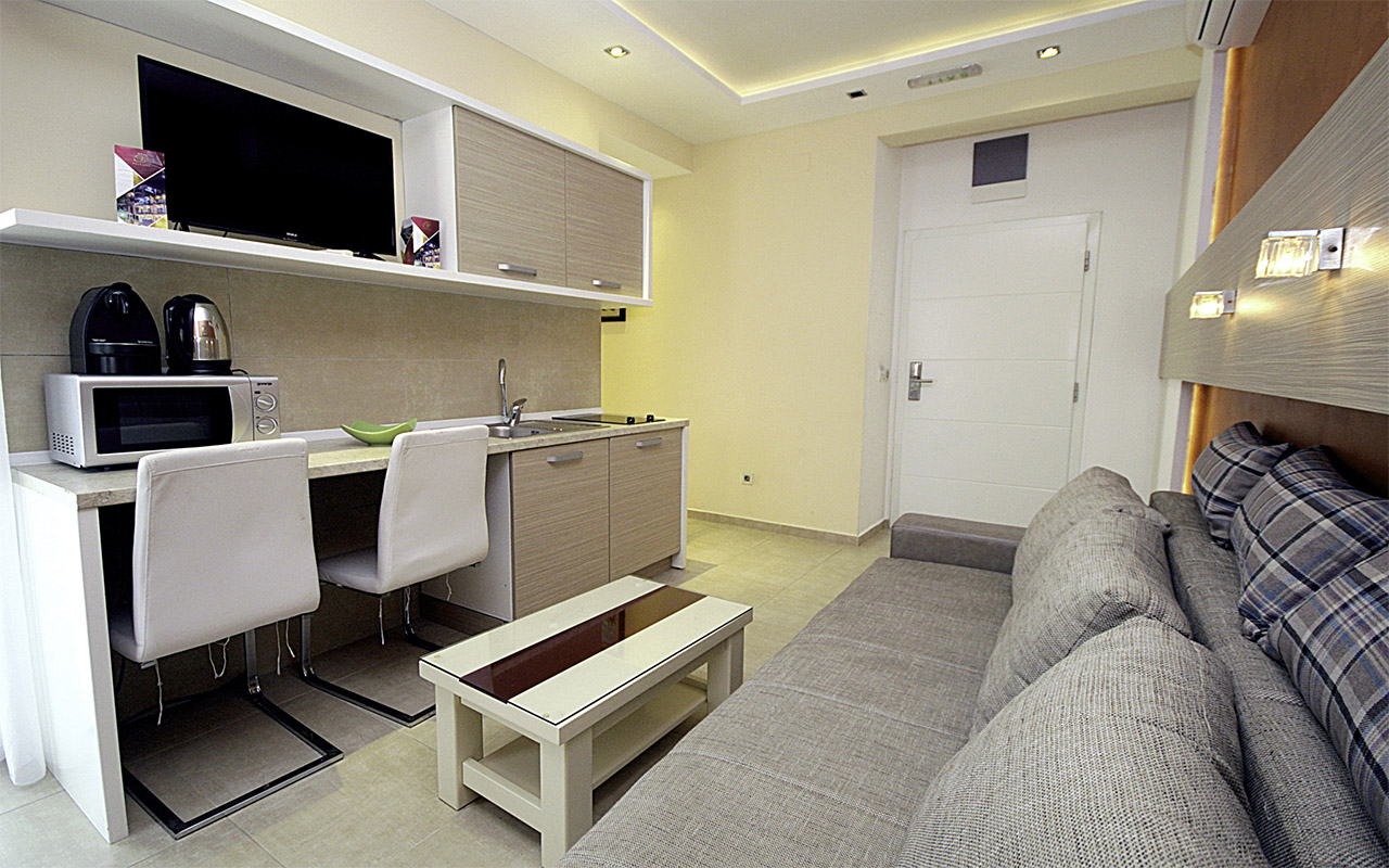 Standard Apartment (3)