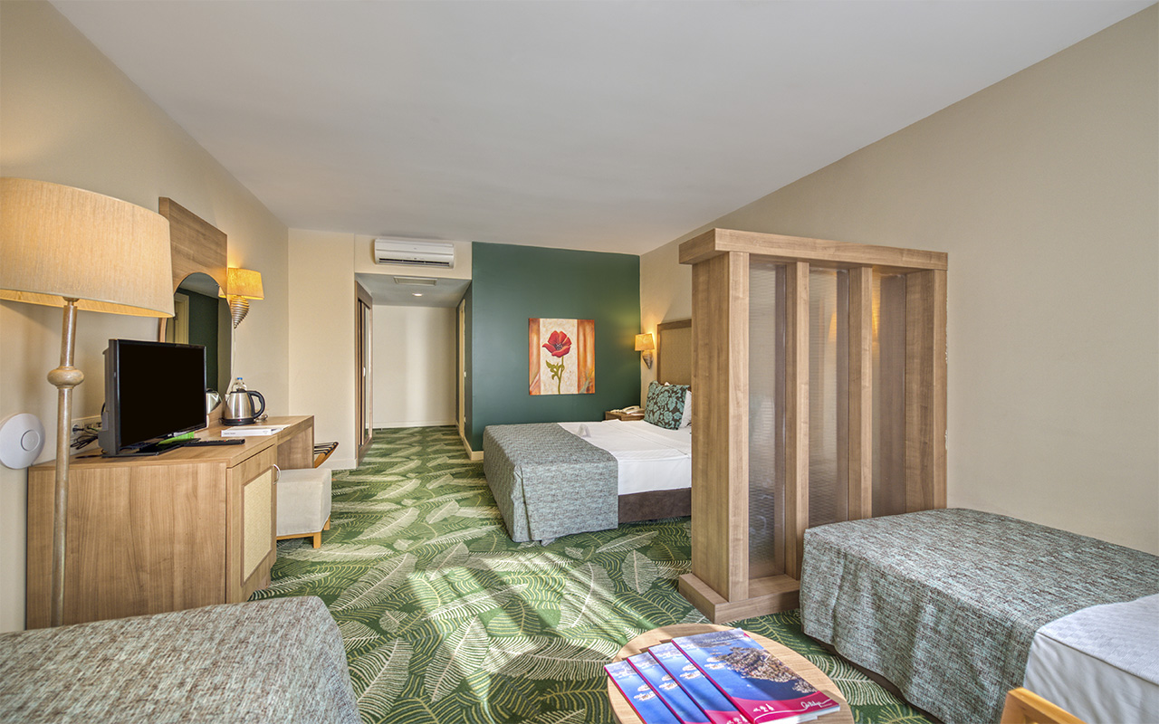 Hotel Standard Room Lake View (6)
